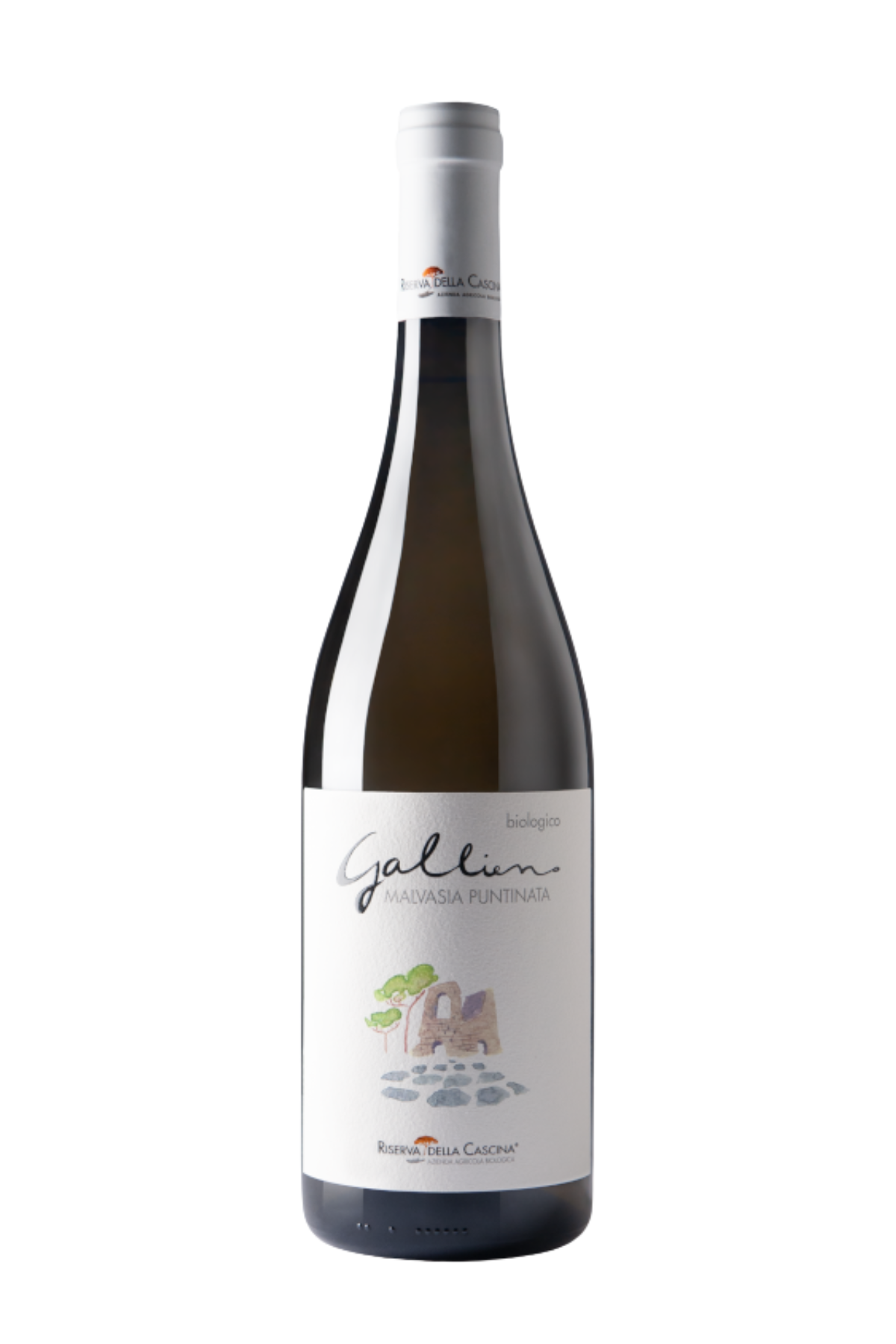 "Gallieno" Malvasia Puntinata Lazio IGT 2024 Bio Riserva della Cascina